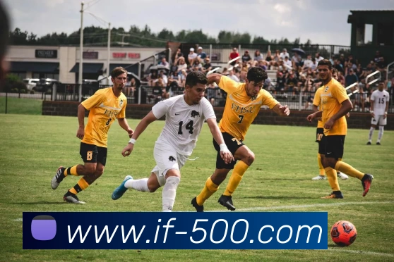 500彩票网官方APP 封面图